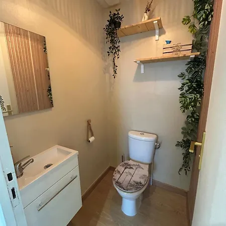 Bali Et Sauna Prive - Video Projecteur - Escapade Romantique-centre Apartment